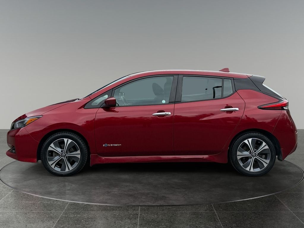 2019 Nissan Leaf — detail view