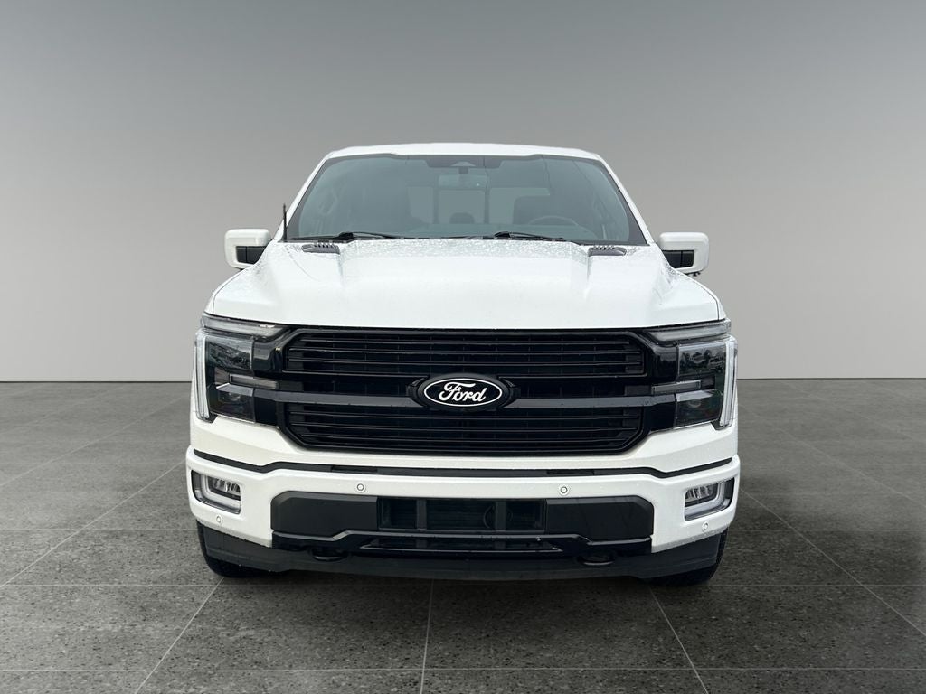 2024 Ford F-150 — side profile view