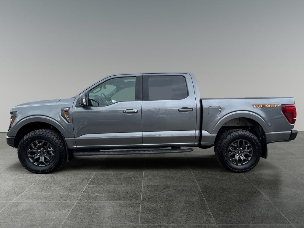2025 Ford F-150 — detail view